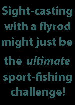 FISHING text-block