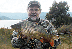 Blowering Dam Carp