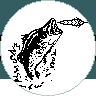 Flyfishing Banner