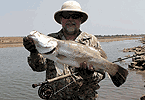 Kimberley Barra