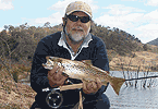 Lake Lyall Brown