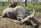 Dave's Trophy Bull