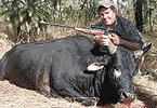Marty's Black Scrub Bull